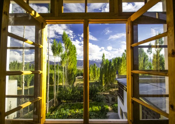 Wood Window Replacement in La Vernia